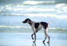 W czym moczyć skórki przed manicure? W czym moczyć skórki przed manicure?