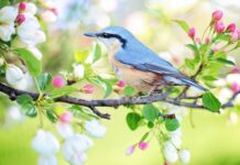 Czy siedzenie bez oparcia jest zdrowe?