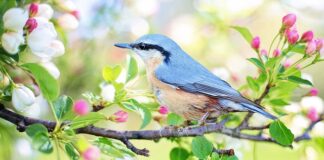 Czy siedzenie bez oparcia jest zdrowe?