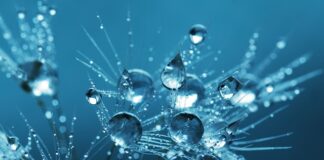 Jak zrobić idealnie przezroczysty lód?