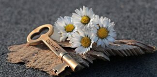 Jak awaryjnie otworzyć bramę?