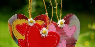 Jaki przewód do domofonu i bramy?