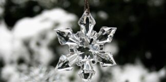 Czy zamrożone pierogi po terminie?