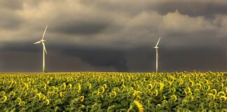 Jaka jest kolejność układania płytek?