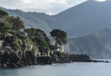 Ile kosztuje tona drutu? Ile kosztuje tona drutu?