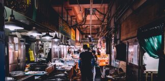 Czy można włączyć lodówkę bez podłączenia wody?