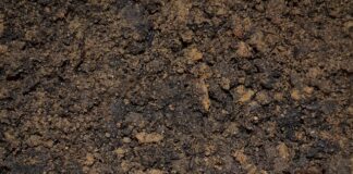 Co zrobić gdy zalewa świecę?