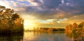 Jak zrobić koło zębate na frezarce?