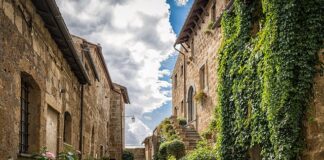 Jaka gradacja do pedi?