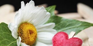 Jakie zaciski do lin stalowych?