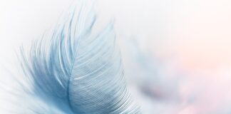 Jak zrobić puszyste pancakes?