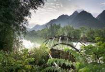 Ile bierze fachowiec za położenie paneli?