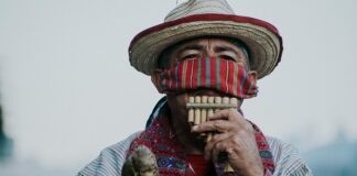 Na co zwrócić uwagę przy zakupie patelni?