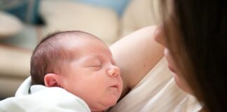 Jaki klej do fototapety papierowej?