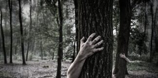 Jaka jest szansa na zombie Villagera?