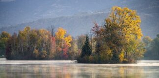 Czy gres jest twardszy od granitu?