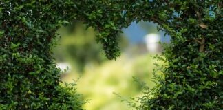 Jaki kształt frez do skórek?