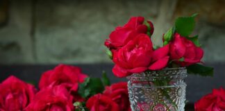 Czy do pojemnika na wodę w lodówce można wlać sok?