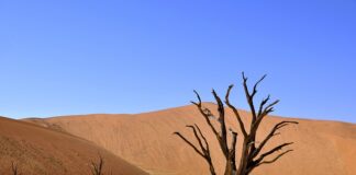 Czy ceramika i gres to to samo?