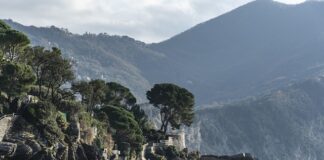 Ile kosztuje front laminowany?