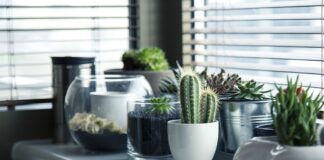 Jakie są dobre garnki do gotowania?