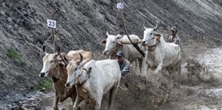 Czego nie wolno robić przy rwie kulszowej?