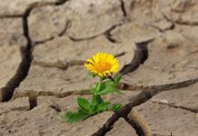 Jak usunąć brud z pięty?